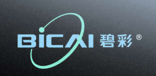 博革為寧波碧彩實業提供5S、精益工廠布局等咨詢服務